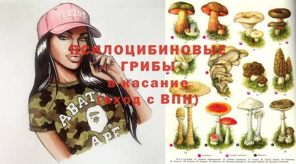 2c-b Алзамай