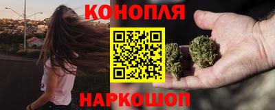 Альфа ПВП Владивосток