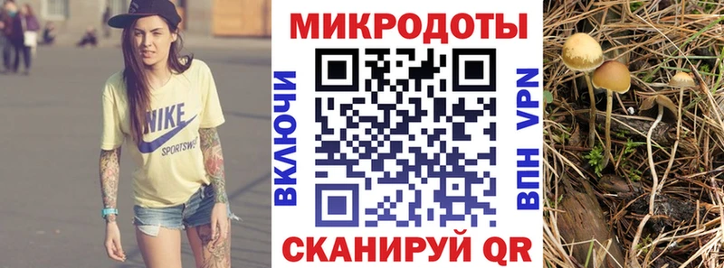 Галлюциногенные грибы GOLDEN TEACHER  мега ссылки  Курганинск  где купить наркотик 